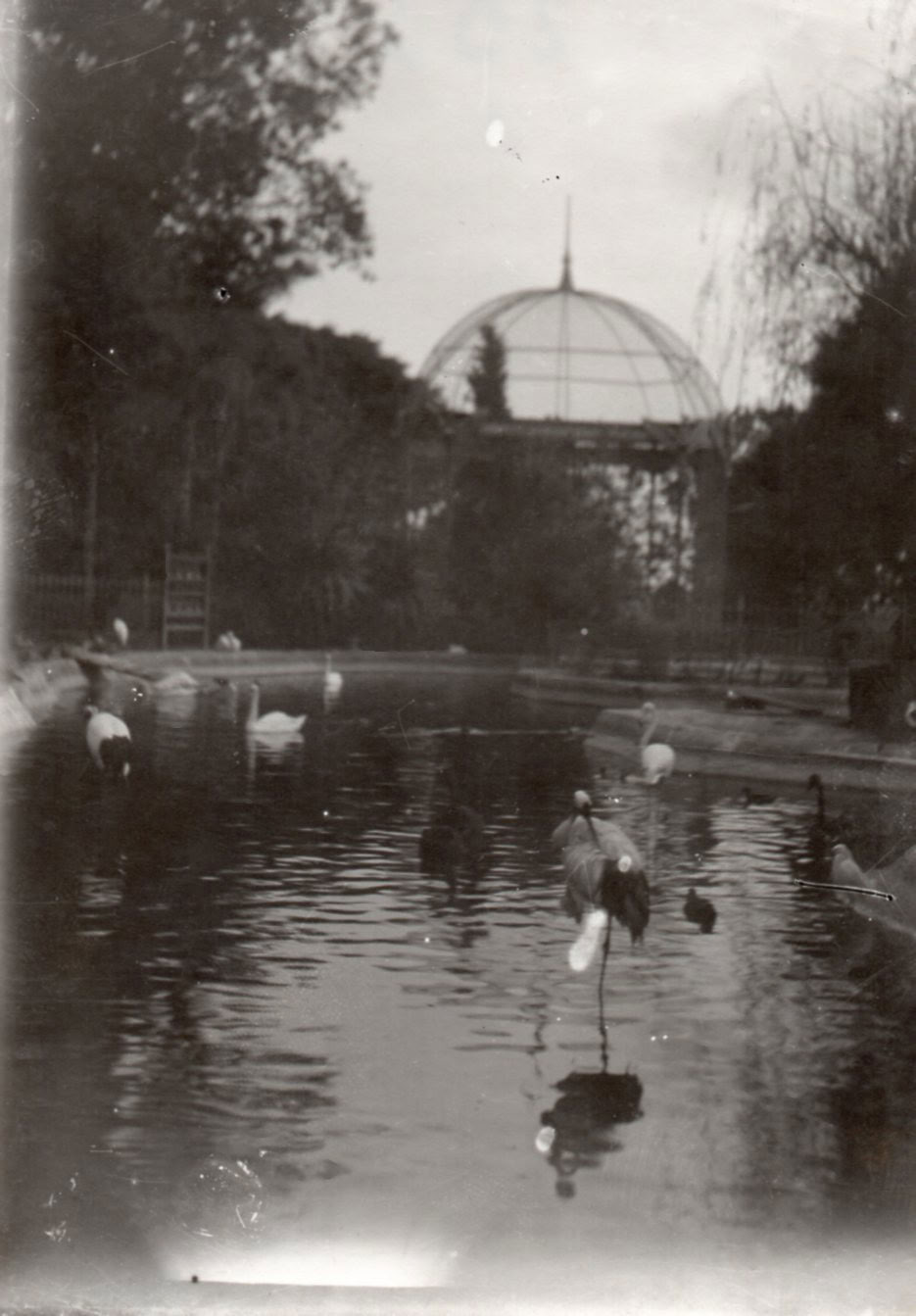 Jardín Zoológico de la Exposición, c. 1910